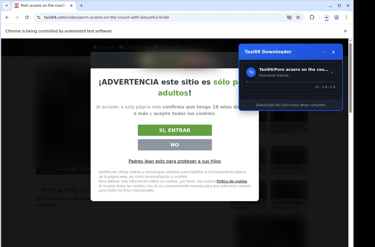 Taxi 69 Video Downloader screenshot 2