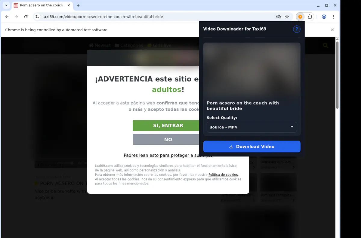 Taxi 69 Video Downloader screenshot 3